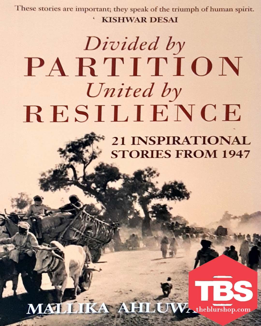 Divided by Partition: United by Resilience