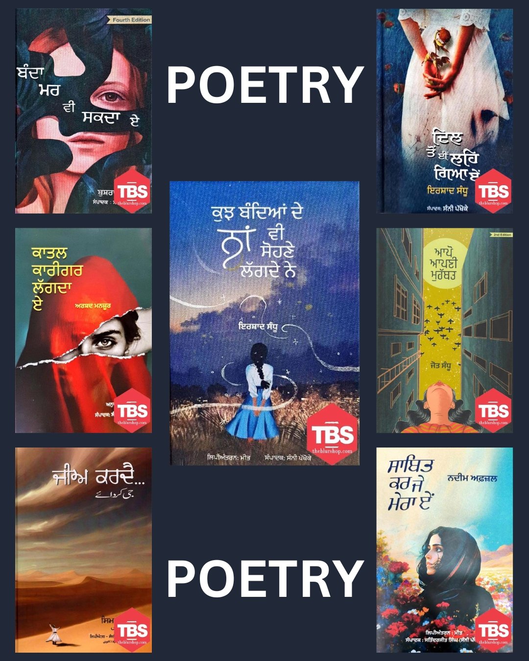 Set of 7 Poetry Books in Punjabi