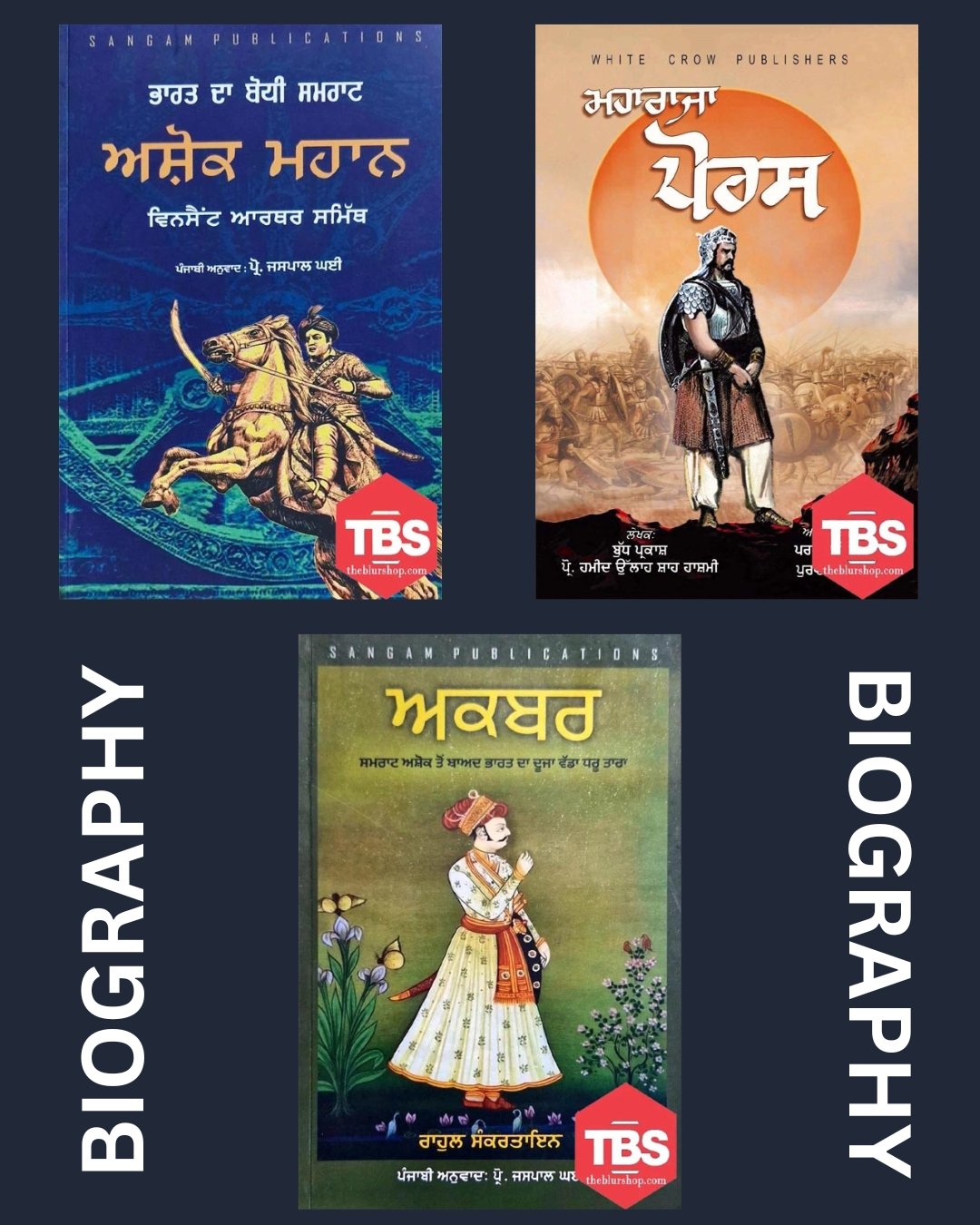 Set of 3 Kings Biography Books in Punjabi