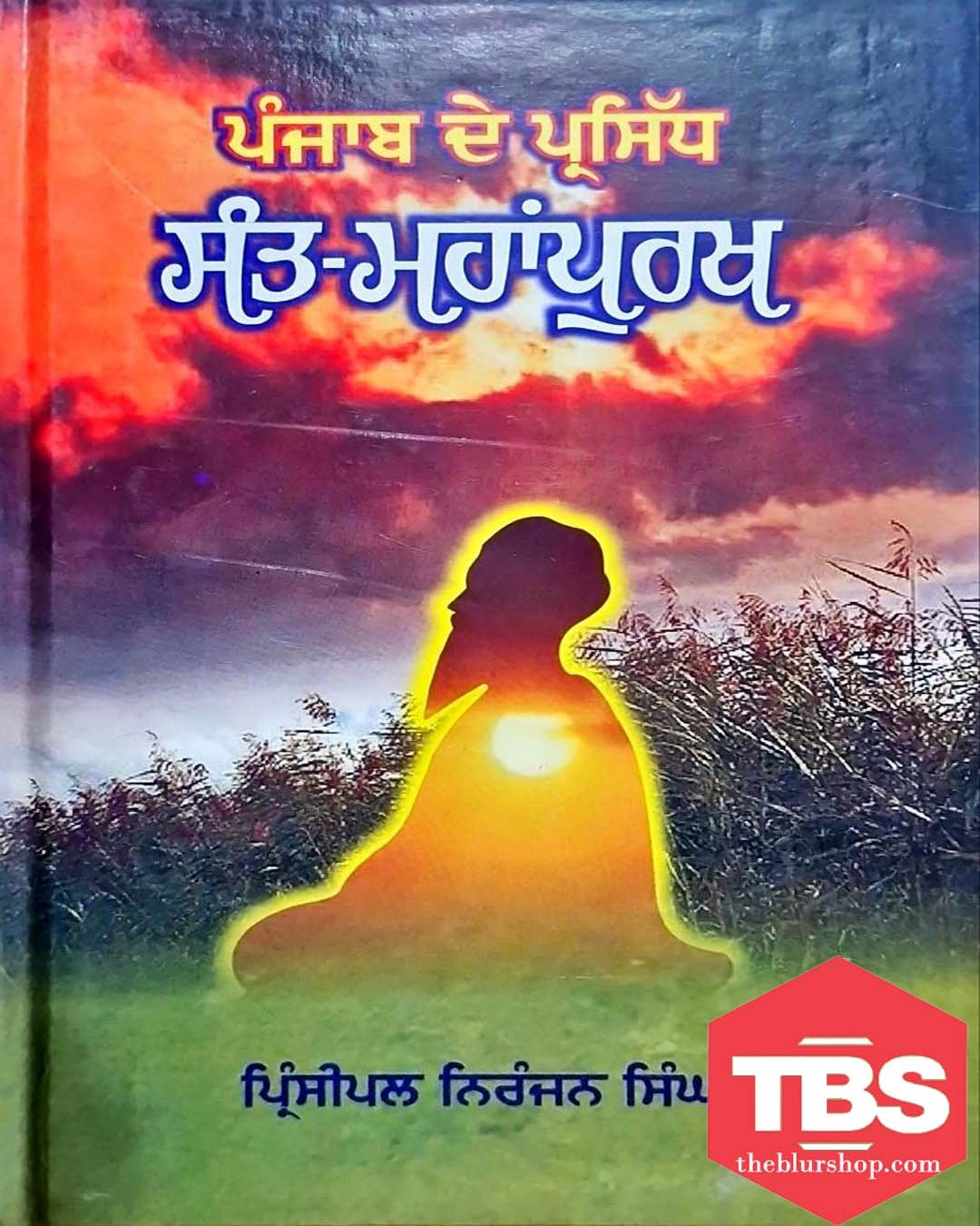 Punjab De Prasiddh Sant Mahanpurakh