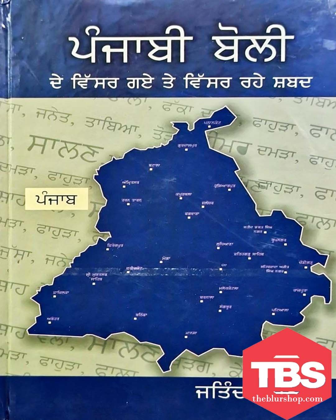 Punjabi Boli De Vissar Gaye Te Vissar Rahe Shabad